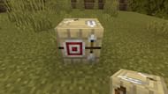 Players can find fletching tables generated inside of villages. (Image via Minecraft)